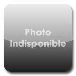 Image indisponible Basse Cort A4 Fretless