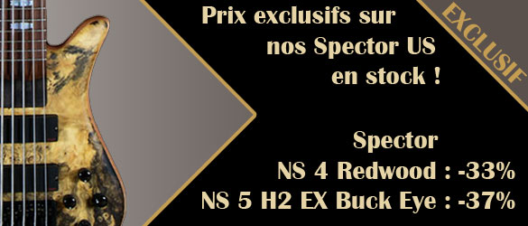 Spector N5 H2EX Buck Eye et Spector NS 4 Redwood
