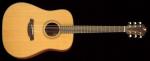 Furch D 22 CM