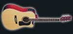 Washburn D 10 SCE