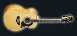 Washburn J28 S 12 DL