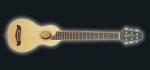 Washburn R010