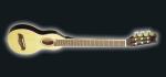 Washburn R020