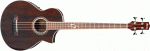 Ibanez EWB 20 WNE