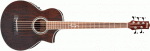 Ibanez EWB 205 WNE