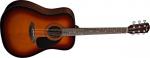 Fender CD-60