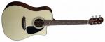 Fender CD-60