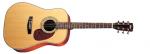 Cort E 70 NS