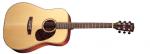 Cort E 100 FTF