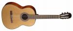 Cort AC 12