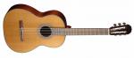 Cort AC 15