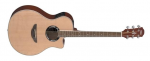 Yamaha APX 500