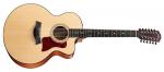 Taylor 355 CE