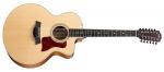 Taylor 455 CE