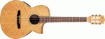 Ibanez EWN 30 SYE