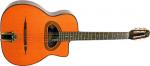 Gitane D 500