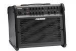Fishman Loudbox 100