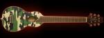 Washburn R010