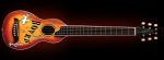 Washburn R010