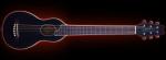 Washburn R010