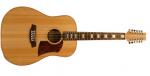 Cole Clark FL2A12