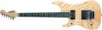 Washburn  N4 ESA Gaucher 