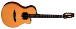 Yamaha APX 5 NA