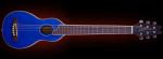 Washburn R010