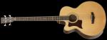 Tanglewood TW 155 Gaucher