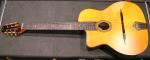 Aria MM 20 Gaucher