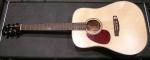 Cort E 100 Gaucher