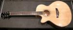 Cort SFX 5 Gaucher