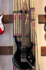 Sadowsky 24 Frets - 5 String Fretless