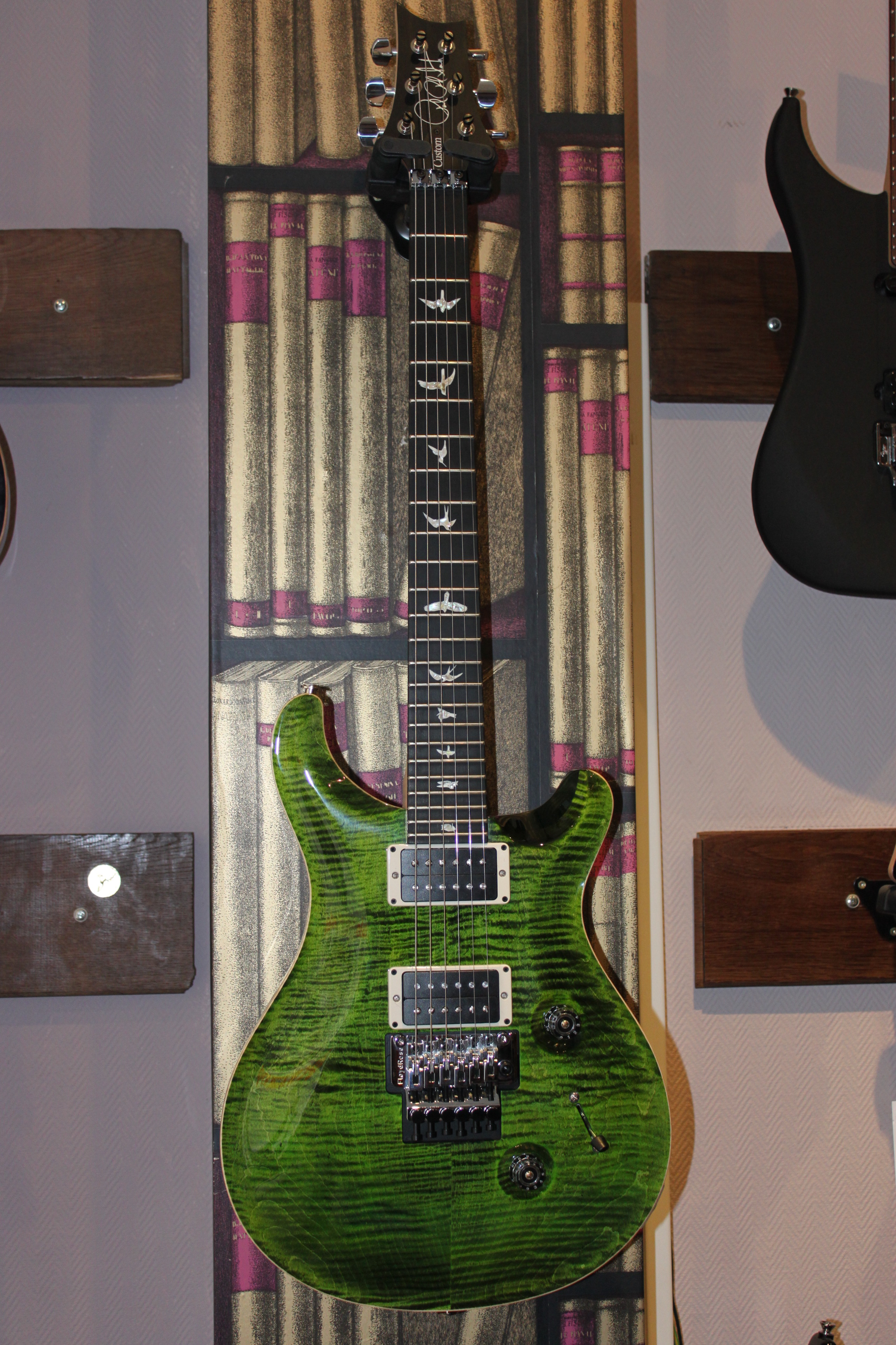 guitares-electriques-prs-custom-24-birds-floyd-jade-custom-24-birds