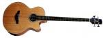 Takamine EG 512 C