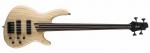 Cort B4 Fretless