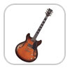 guitares-electriques 6 cordes hollow body