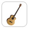 basses Acoustiques