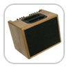 amplis Combos Acoustiques
