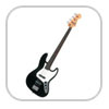 basses Fretless