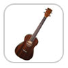guitares-acoustiques Ukul�l�