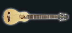 Washburn - Rover - R010 
