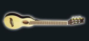 Washburn - Rover - R020 
