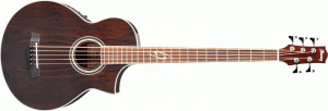 Ibanez - EWB 205 WNE Natural
