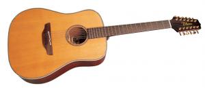 Takamine - TAN 1012 
