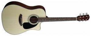 Fender - Classic Design - CD-60 Natural Sonokeling
