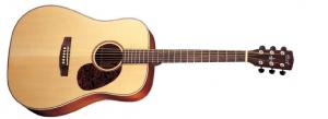 Cort - Earth Series - E 100 FTF 
