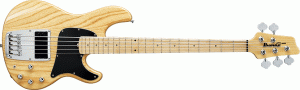 Ibanez - ATK - ATK305 Natural 
