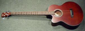Cort - Bass Acoustic Series - SJB 5 F Gaucher 
