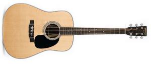 Martin - D 35 
